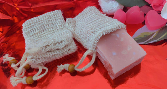 Soap Saver Exfoliating Bag